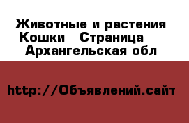 Животные и растения Кошки - Страница 3 . Архангельская обл.